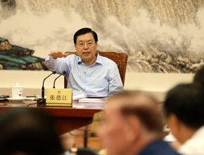 十二届全国人大常委会第四十八次委员长会议