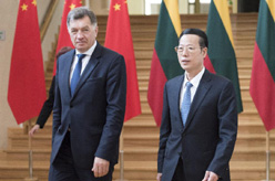 张高丽同立陶宛总理布特克维丘斯会谈