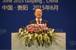 杜青林出席生态文明贵阳国际论坛2015年年会开幕式并讲话