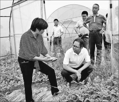 重庆市江津区委书记陶长海：百姓的事要&ldquo;干得起&rdquo;