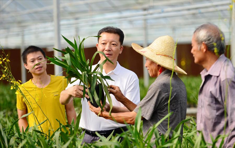 &ldquo;快&rdquo;与&ldquo;慢&rdquo;的速度激情&mdash;&mdash;记福建省政和县县委书记廖俊波