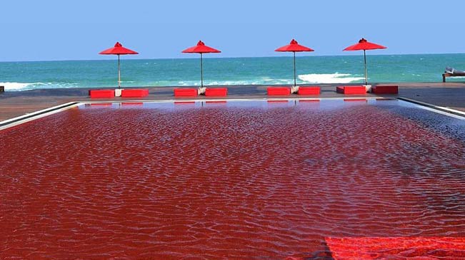 唯美！盘点世界各地最独特的泳池