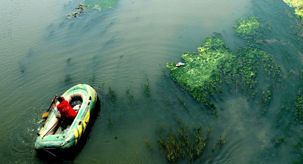 郑州：西流湖生态水系遭破坏