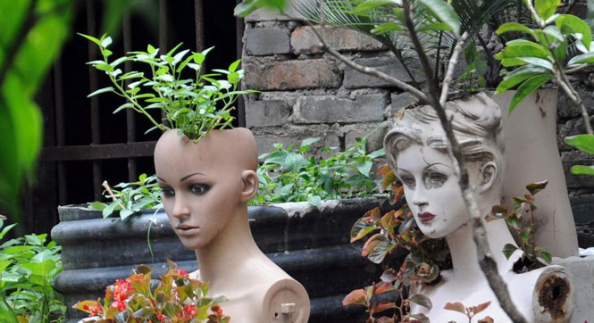 四川现"最牛人模盆景"犹如上演惊悚片