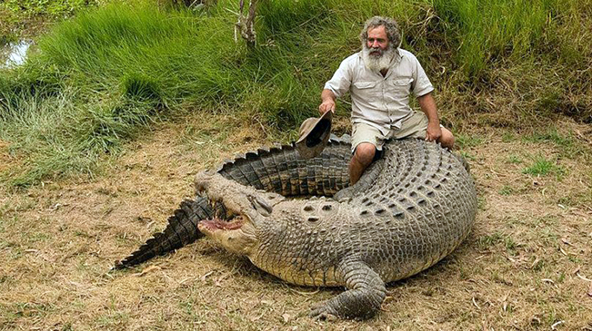 澳男子经营鳄鱼农场 骑巨鳄玩耍