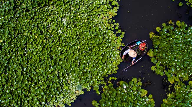 江南水乡&ldquo;立秋&rdquo;过后&ldquo;采莲忙&rdquo;