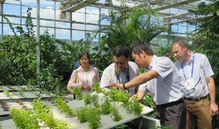 多国专家齐聚新疆共谋丝路新发展