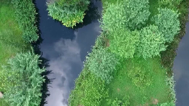 新华网无人机航拍广东海珠国家湿地公园