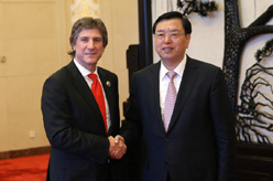 张德江会见阿根廷总统代表、副总统兼参议长布杜