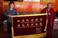 刘延东率中央代表团分团赴昌都市慰问各族干部群众