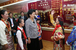 刘延东在西藏昌都看望中小学师生