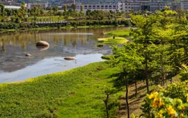 农村水能资源开发现状