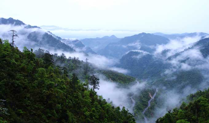 广东乳源、广东乳阳林场、云南华宁葫芦口电站