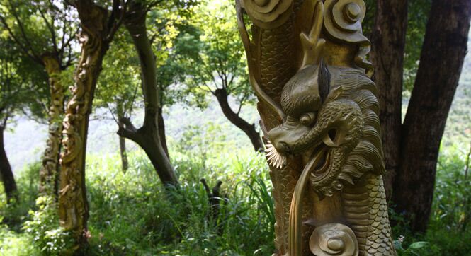 宁波现&ldquo;活体树雕&rdquo; 被批&ldquo;残忍的艺术&rdquo;