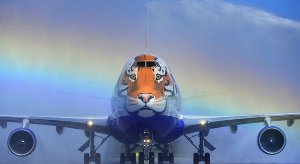 俄罗斯迎接老虎日 波音飞机"变身"东北虎