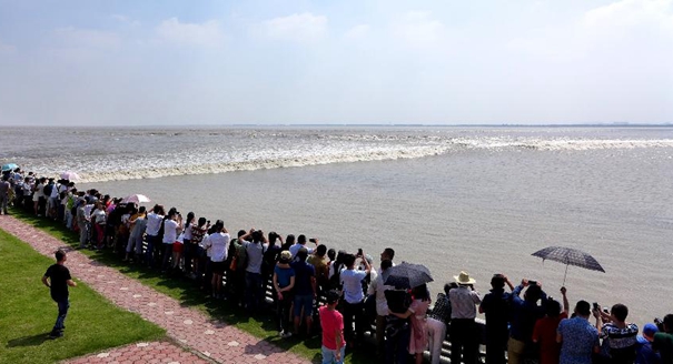 中秋佳节钱塘观潮