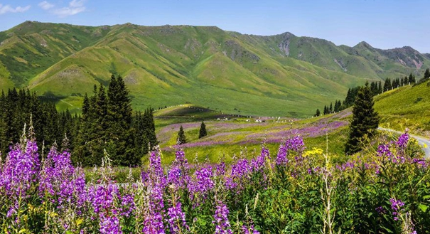 “数说”新疆 蒸蒸日上—新疆60年实现历史性大跨越