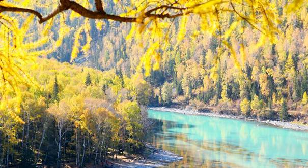 喀纳斯金秋美景