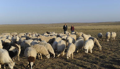 十年扶贫惠及6700万人