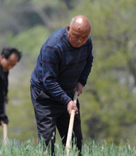 张福根：实干苦干带领村民奔小康
