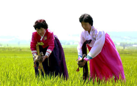 从吉林延边见闻看民族自治州&ldquo;奔小康&rdquo;