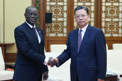 赵乐际会见乍得爱国拯救运动代表团