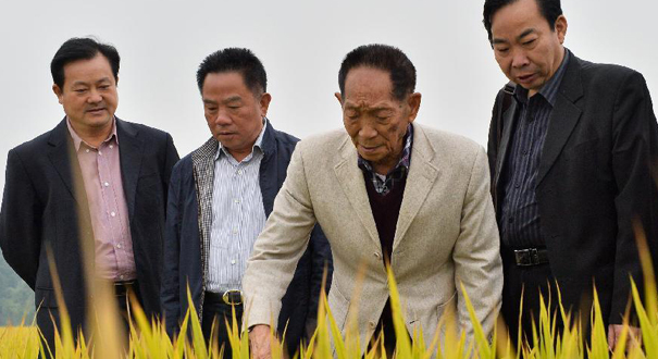 不再任杂交水稻研究中心&ldquo;官职&rdquo; 85岁袁隆平科研不&ldquo;卸任&rdquo;