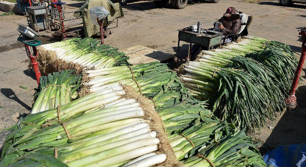 受&ldquo;冷落&rdquo;的冬储菜