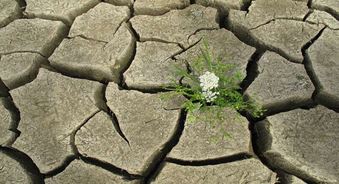 马克思主义人化自然观视野中的生态危机问题