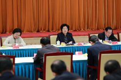 孙春兰受中共中央委托　向党外人士通报中共十八届五中全会精神