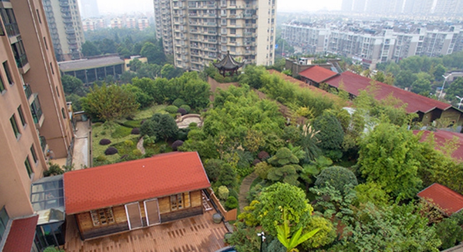 杭州1000平米&ldquo;最牛空中后花园&rdquo;被拆除