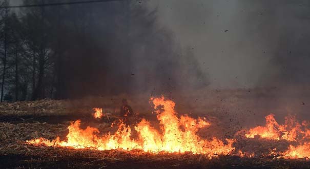 吉林部分地区仍有露天焚烧秸秆现象