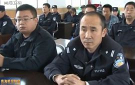 民族团结进步楷模王成元事迹