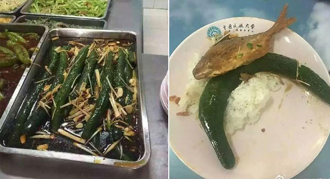 天津高校饭堂再现奇葩菜原条青瓜炒大葱