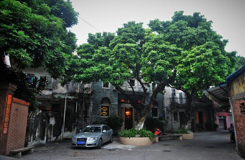 实拍广东顺德卖地&ldquo;土豪村&rdquo;：环境清幽