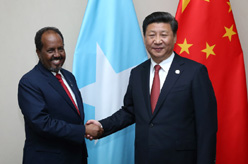 习近平会见索马里总统马哈茂德