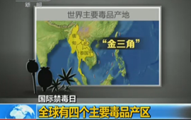 揭秘全球四个主要毒品产区