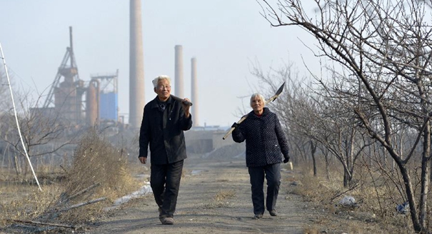 荒山“愚公”：坚守26载植树梦