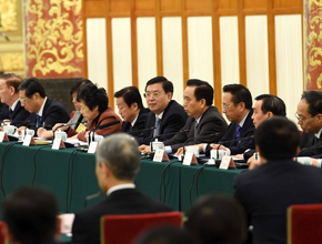 十二届全国人大常委会第十八次会议举行联组会议