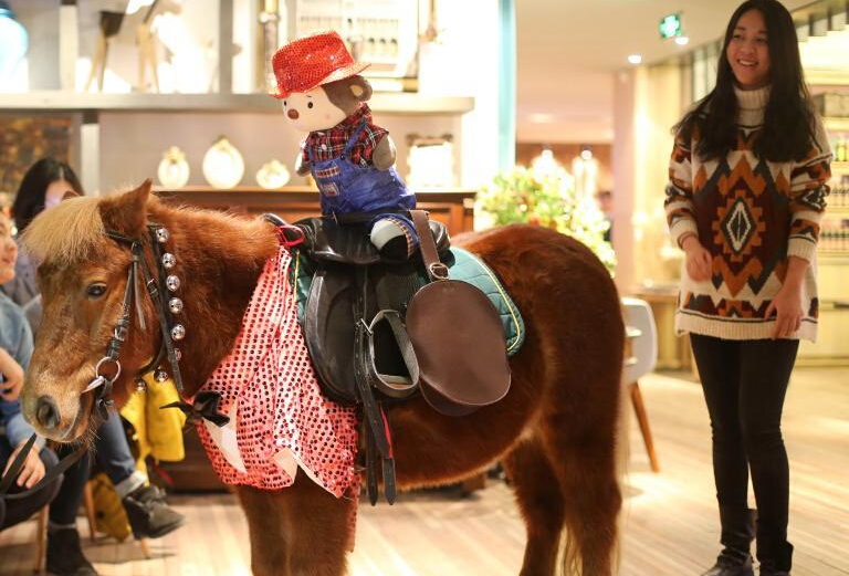 世界著名短腿马亮相南京 温顺呆萌迷倒众人