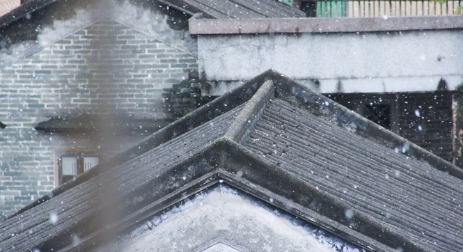 广州首次飘起百年难遇鹅毛大雪