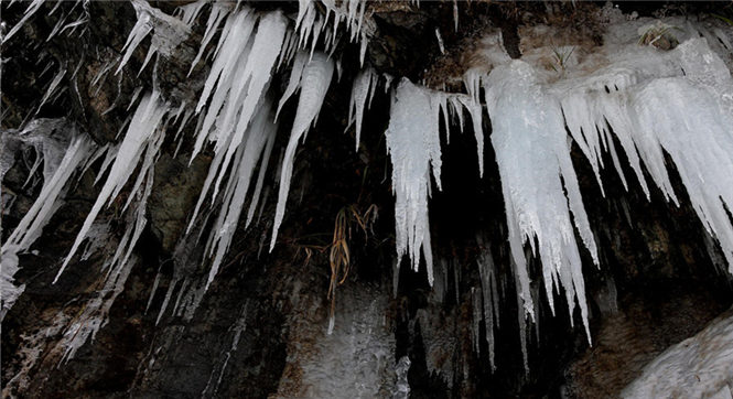 安徽黄山六股尖现史上罕见冰瀑奇观
