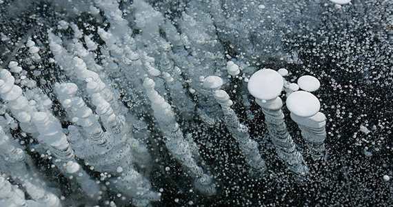 新疆赛里木湖：冰花奇观令人叹为观止