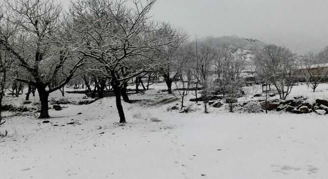 山东青岛现罕见春雪 景区银装素裹