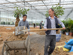 贵州颇洞：人人建设 人人共享