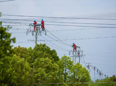 浙江推进“十三五”期间农网升级改造