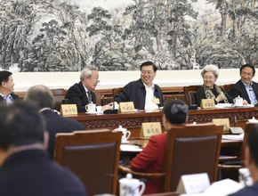 张德江参加十二届全国人大常委会第二十次会议分组审议