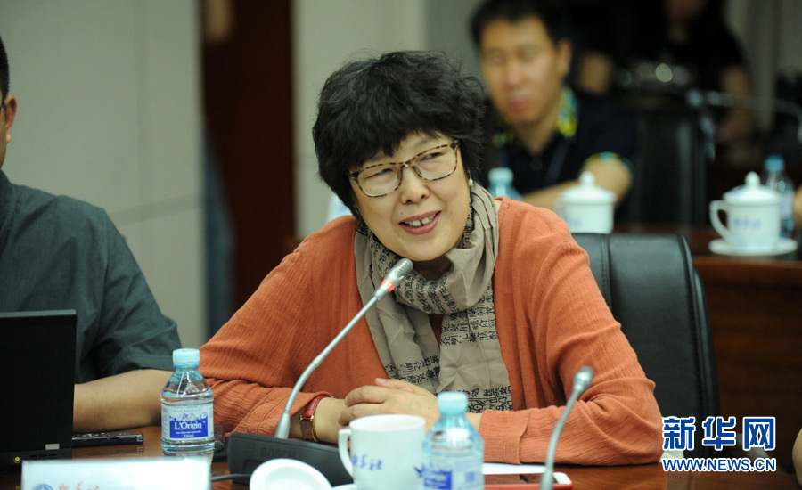 陈小波：新华人对历史的担当、情感与良知