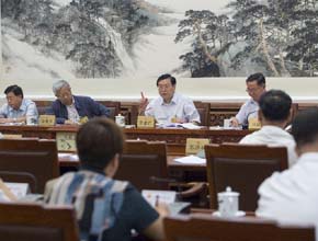 张德江参加分组审议