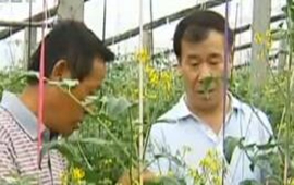 李双星：扶贫致富圆梦人